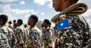 image 2025 11 07 14 55 05