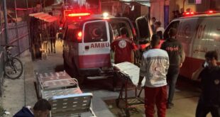 image 2025 11 20 14 56 18