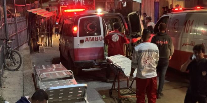 image 2025 11 20 14 56 18