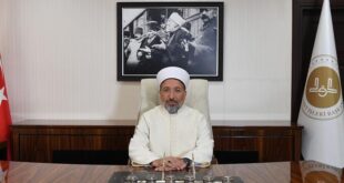 image 2025 11 10 13 38 58