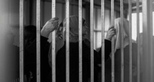 image 2025 11 12 13 58 41