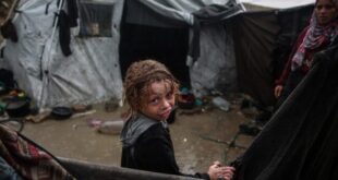 Ekran görüntüsü 2025 11 15 164255