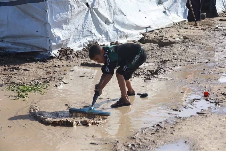 IMG 20251115 195900 742