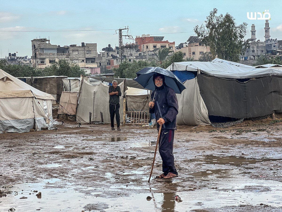 IMG 20251115 195847 128