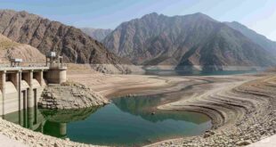 image 2025 11 14 20 36 22