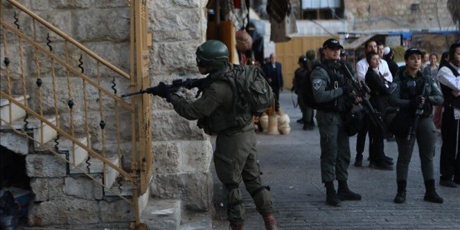 image 2025 11 06 16 42 59