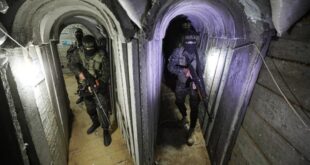 image 2025 11 12 17 52 25