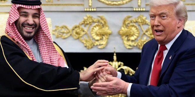 image 2025 11 19 13 03 50