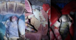 image 2025 11 25 12 33 08