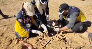 image 2025 11 02 17 31 20