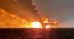 image 2025 11 29 17 34 09