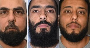 5931254904573856956 121