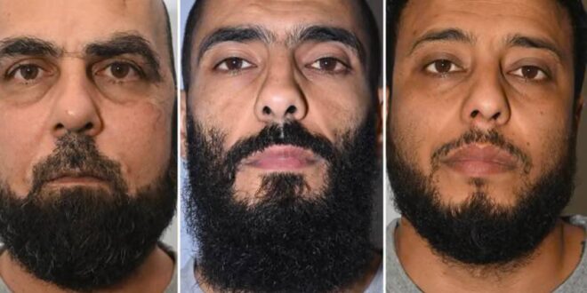 5931254904573856956 121