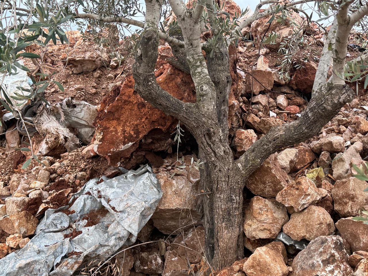 IMG 20251213 125650 349 IMG 20251213 125650 349