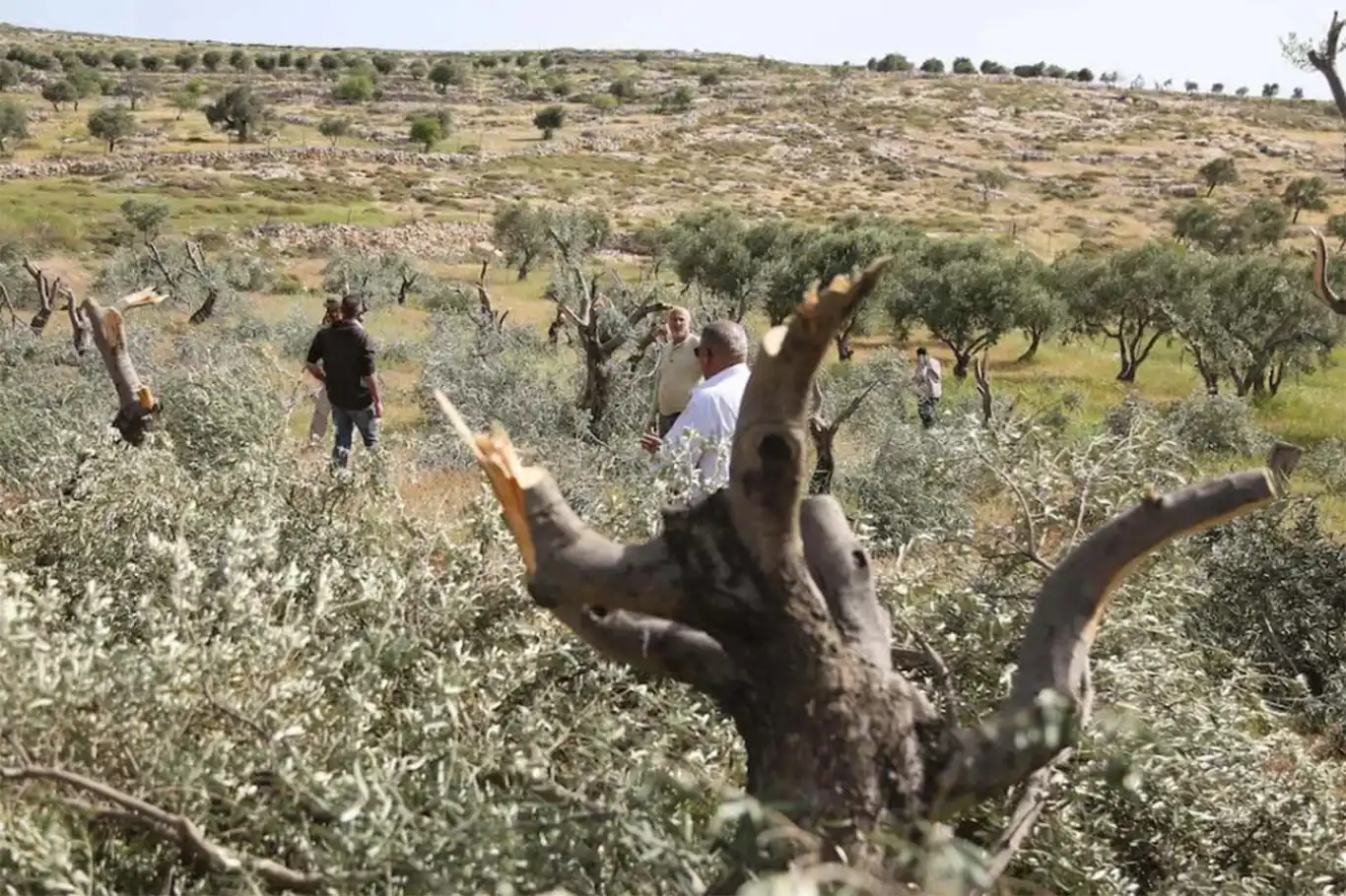 c1c3a15a 0502 4886 b980 e39f08928fb7