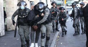 thumbs b c 29310d8e9af5ceca00e4da1d438e3021