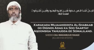 image 2025 12 27 20 33 58