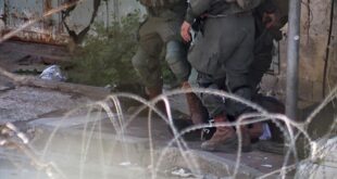 thumbs b c a672a582e12ba960b17eb5bd5a01a3b3