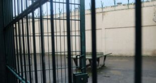 image 2025 12 12 17 41 00