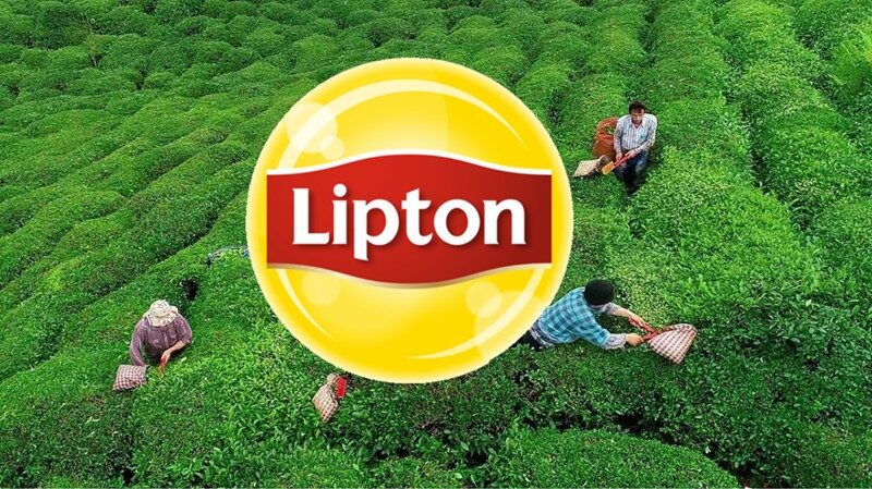 Boykotun rüzgarı Lipton’u da ezdi; 40 yıllık Türkiye defterini kapattı!