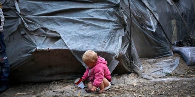 image 2025 12 16 23 15 07