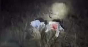 image 2025 12 23 23 43 48