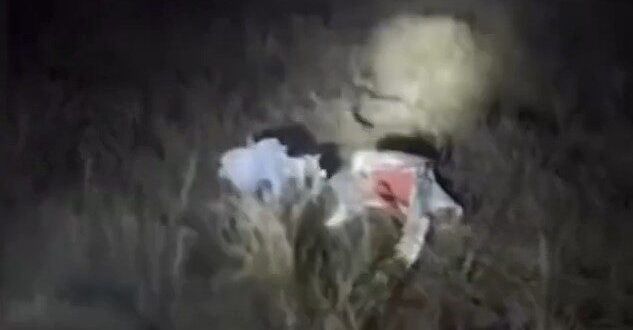 image 2025 12 23 23 43 48