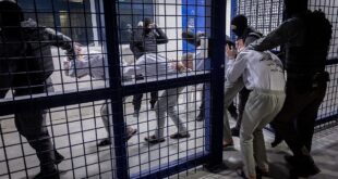 image 2025 12 31 12 06 38