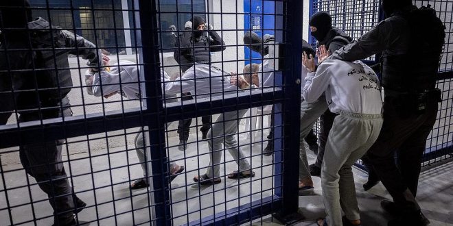 image 2025 12 31 12 06 38