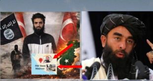 5935944471990177031 121