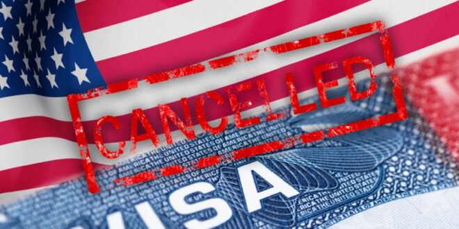 image 2025 12 17 10 32 53