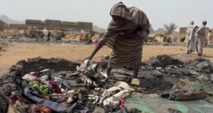 image 2025 12 15 19 51 33