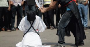 image 2025 12 15 23 29 38