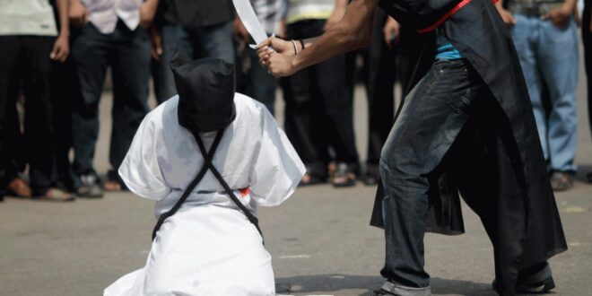 image 2025 12 15 23 29 38