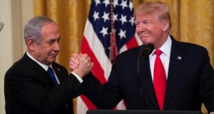 thumbs b c b4754c92d0e792b9a3c69687f7c1c057