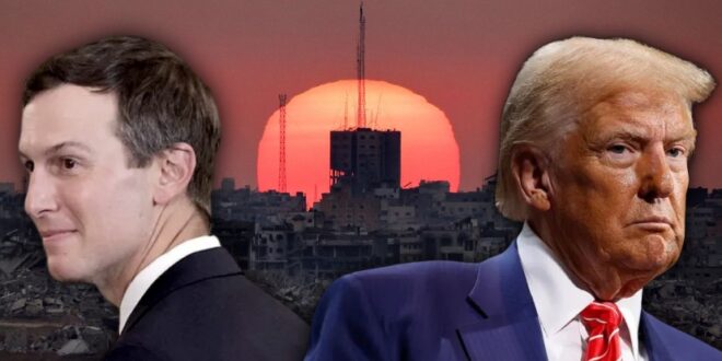 image 2025 12 21 15 01 10