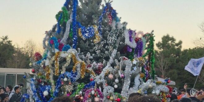 Ekran görüntüsü 2025 12 14 163720