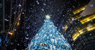 image 2025 12 25 19 30 34