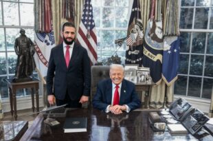 20251112 003950 0000