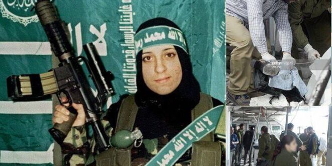 photo 2026 01 16 14 06 43