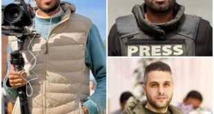 6020749284149496786 121 (0)