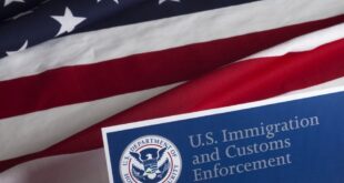 image 2026 01 15 14 50 54