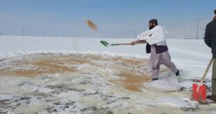 photo 2026 01 27 22 01 30