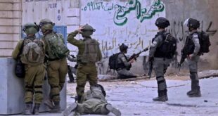 image 2026 01 19 11 23 14