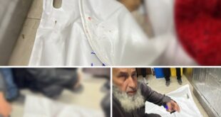 5972293785238572128 121