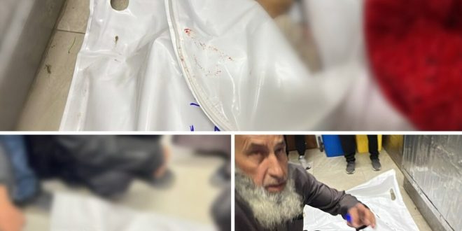 5972293785238572128 121