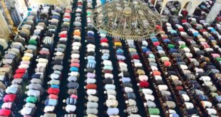 image 2026 01 19 17 32 36