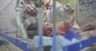 Gazze bebekler yeni doğan
