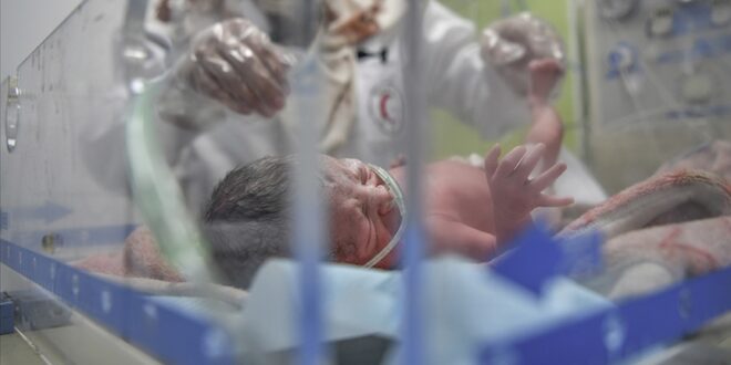 Gazze bebekler yeni doğan