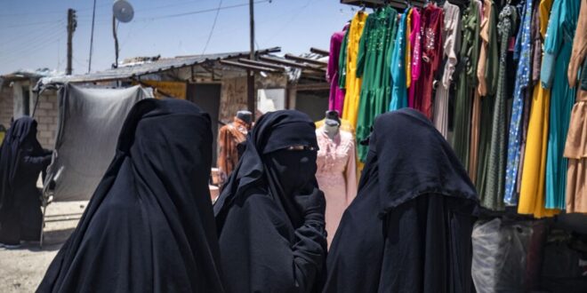 image 2026 01 27 18 41 29